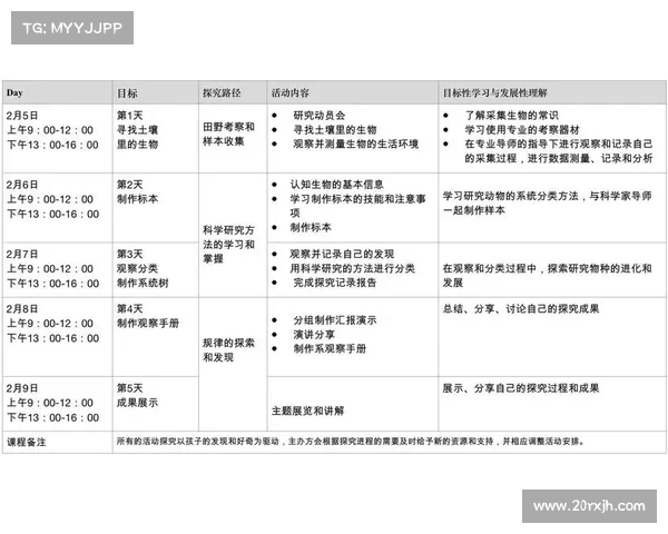 以小队员成长为核心的团队协作与发展路径探索与实践分析 以小队员成长为核心的团队协作与发展路径探索与实践分析